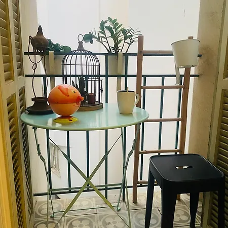 T2 Pied Dans L Eau * 阿雅克肖